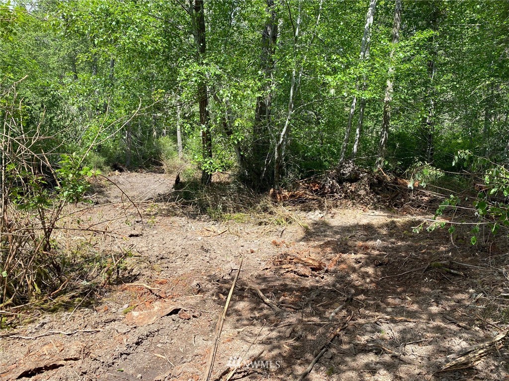 0 School Road Lopez Island, WA 98261 - Photo 5 of 11 a view of a forest with trees in the background