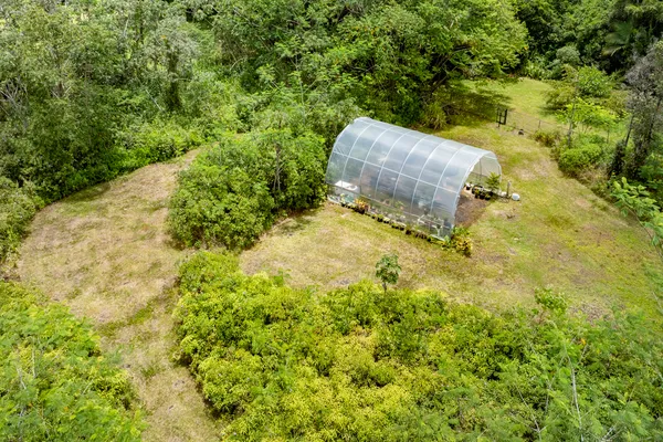 a backyard of a house with large trees and plants