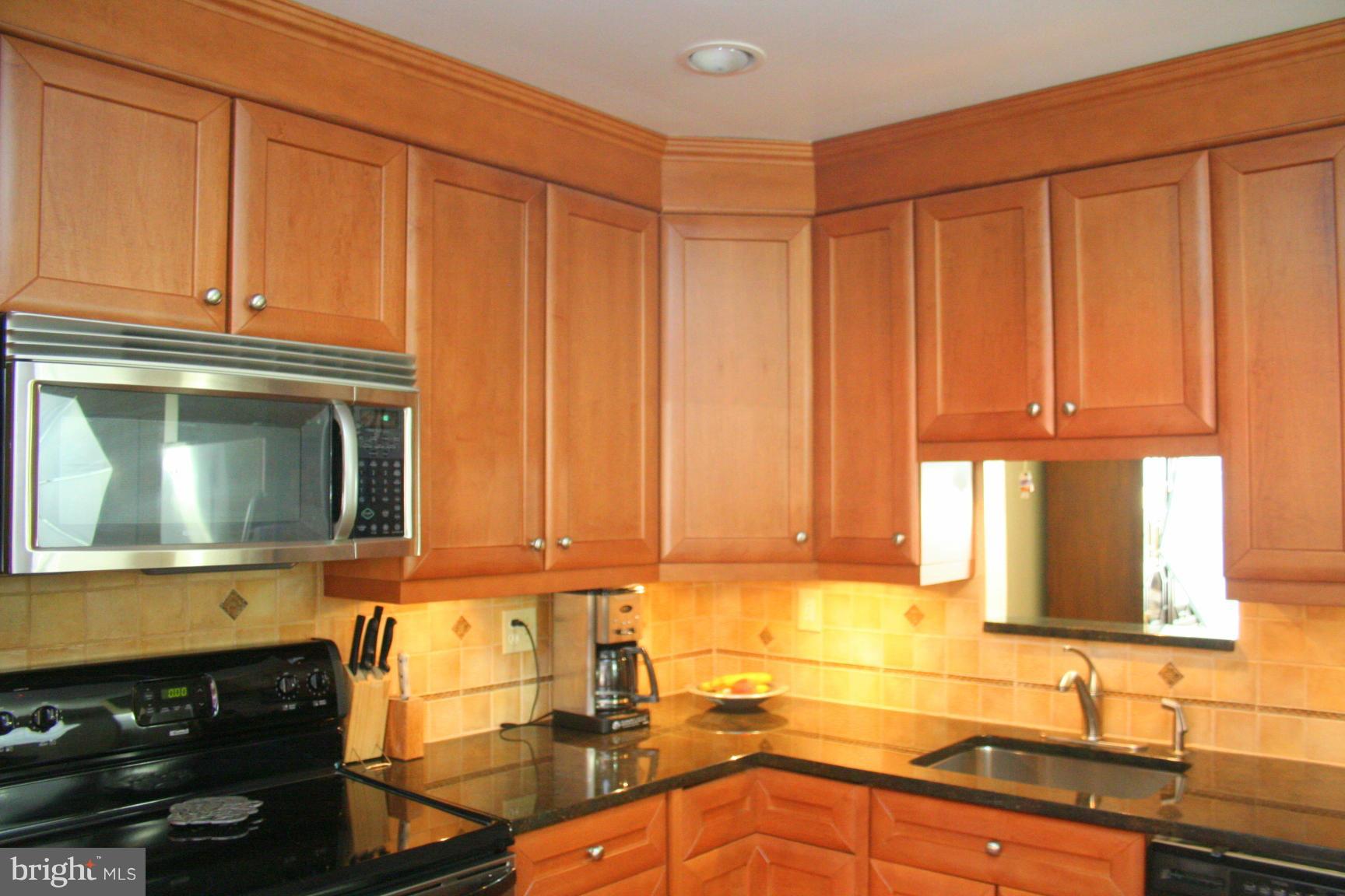 2253 Chestnut Burr Court Reston, VA 20191 - Photo 2 of 17 Kitchen