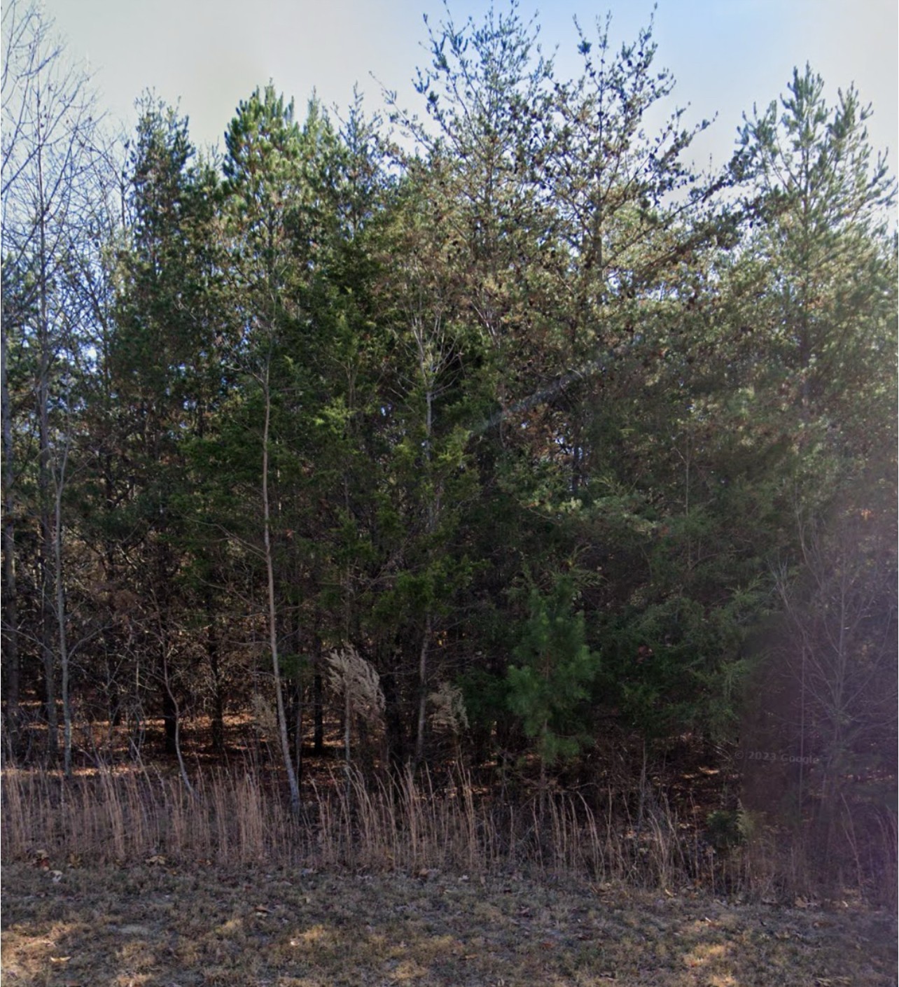 2 Two Lake Trail Dunlap, TN 37327 - Photo 2 of 7 Gallery Image 2