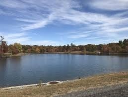 2 Two Lake Trail Dunlap, TN 37327 - Photo 6 of 7 Gallery Image 6