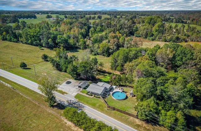 a view of a garden with wooden floor