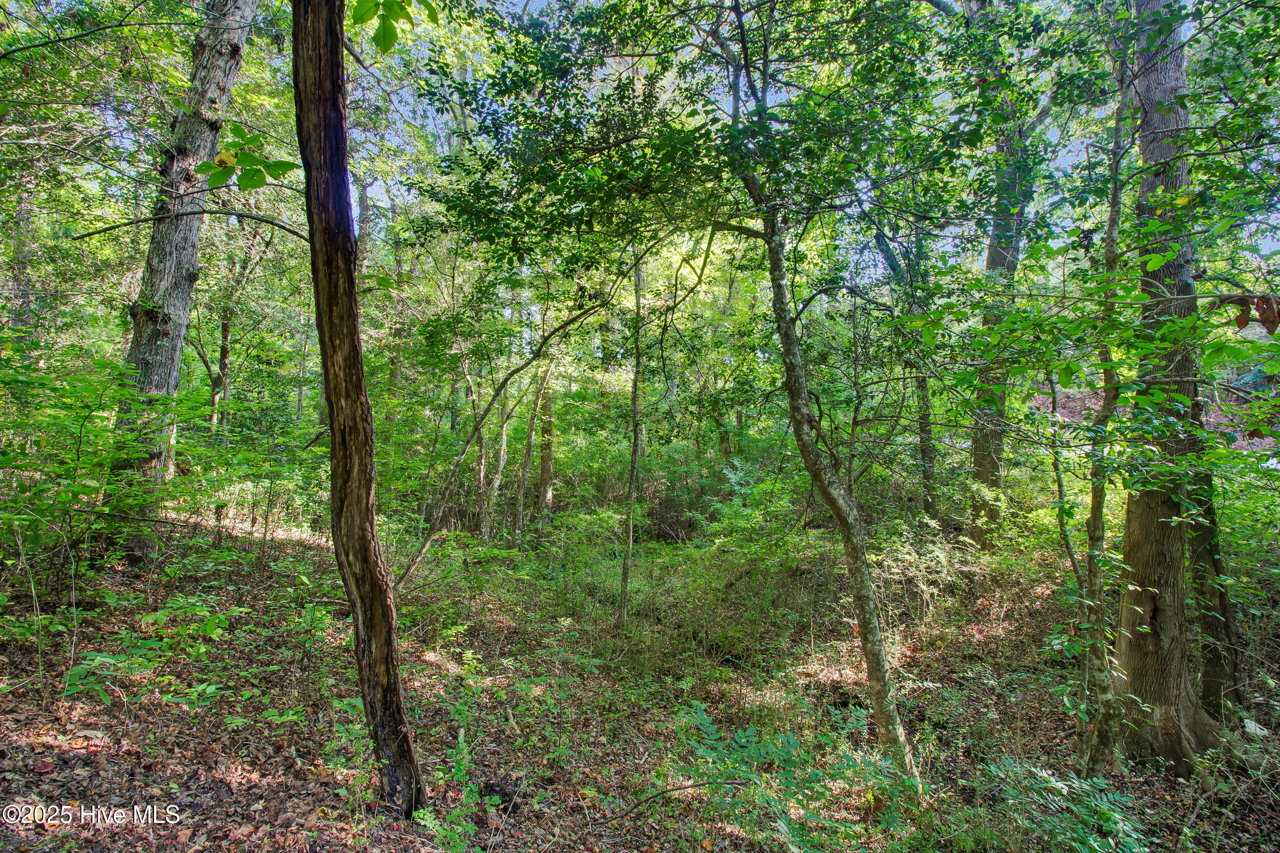 710 West Firetower Road Swansboro, NC 28584 - Photo 24 of 30 25 (5)