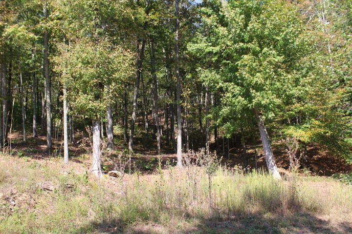 14 Haynes Knob Road Somerset, KY 42501 - Photo 5 of 7 5