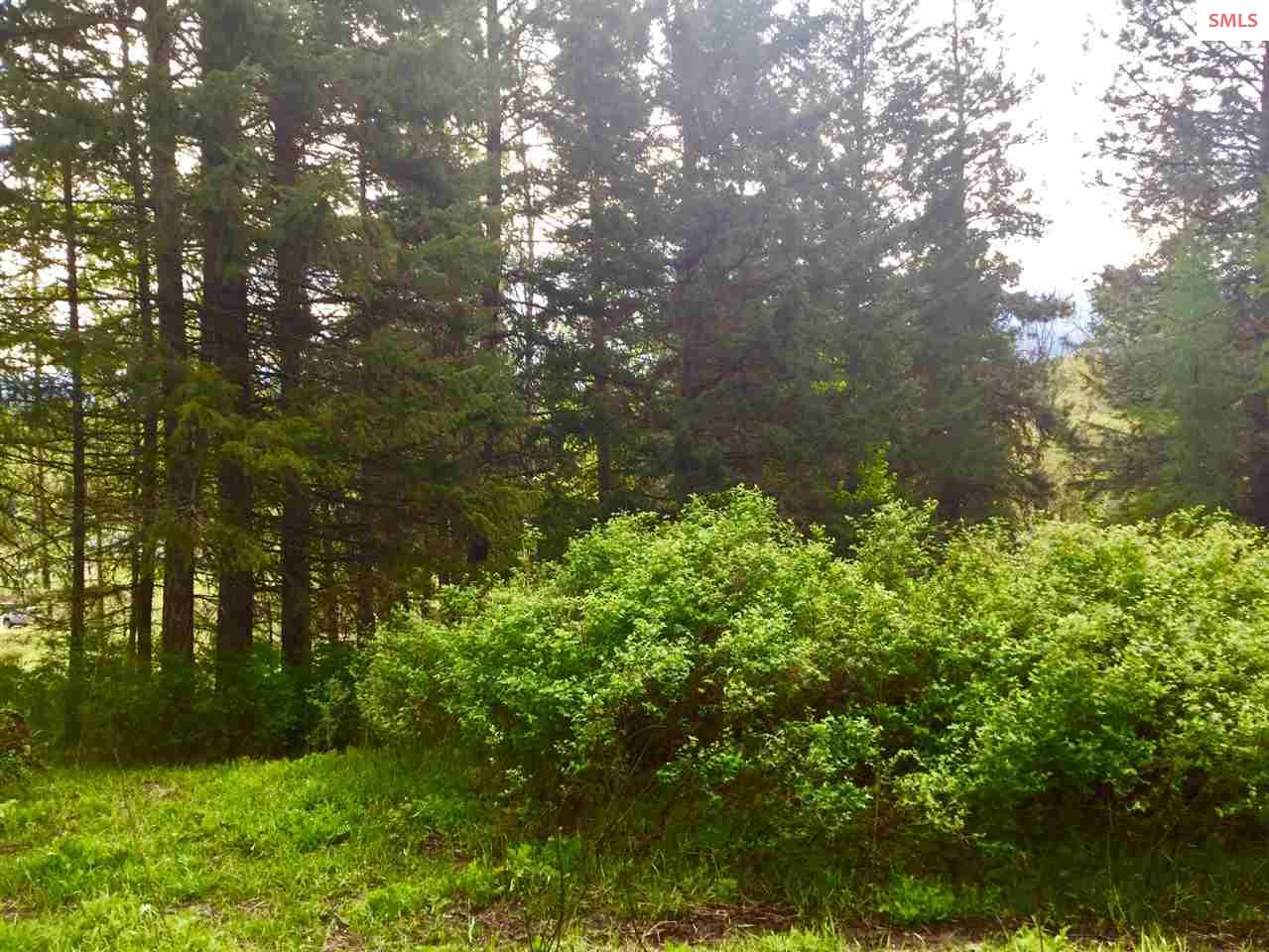 Nna Nna Road Sandpoint, ID 83864 - Photo 3 of 14