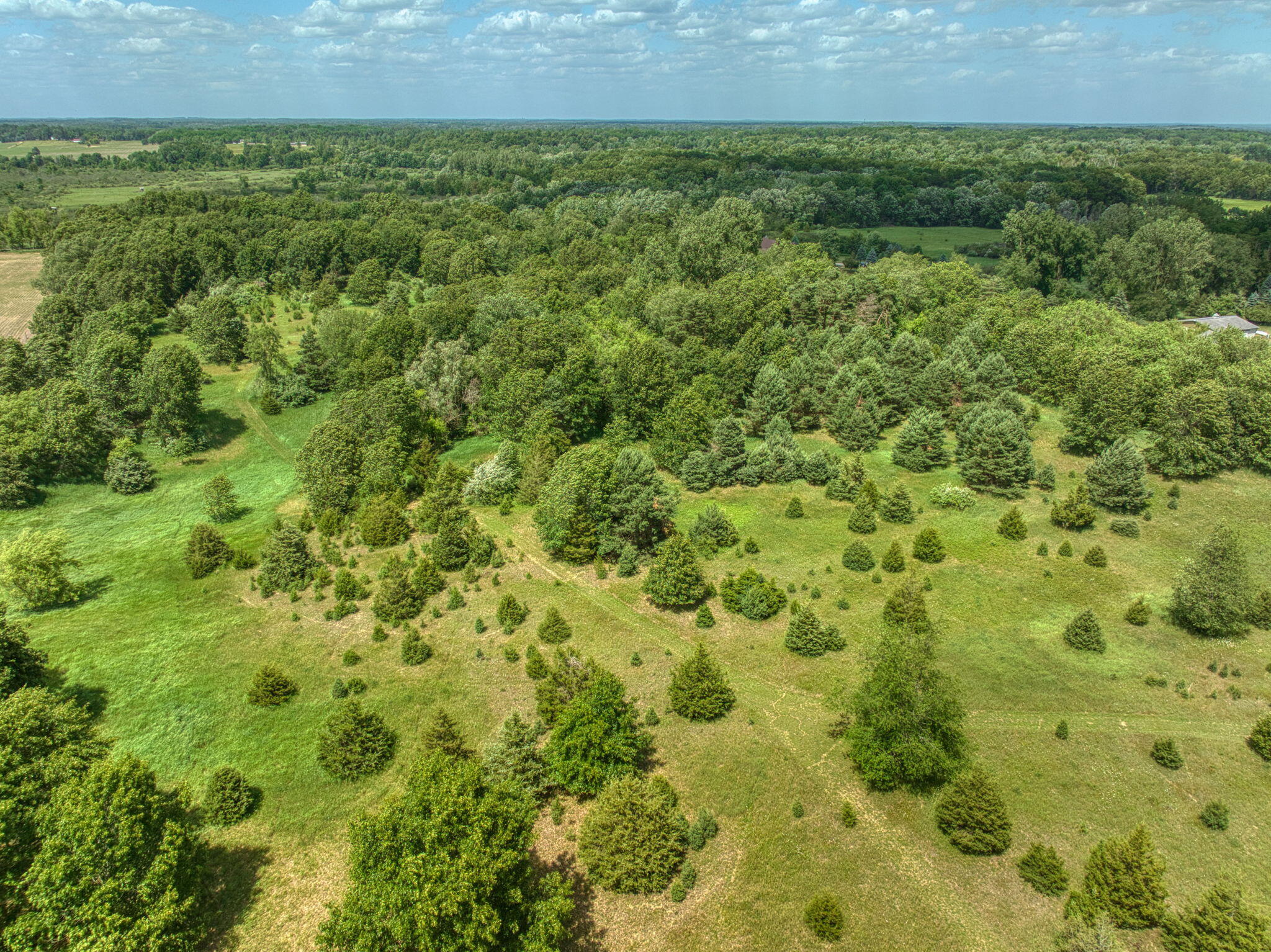 0 White Road Clarklake, MI 49234 - Photo 15 of 34 15-web-or-mls-DJI_0252_HDR
