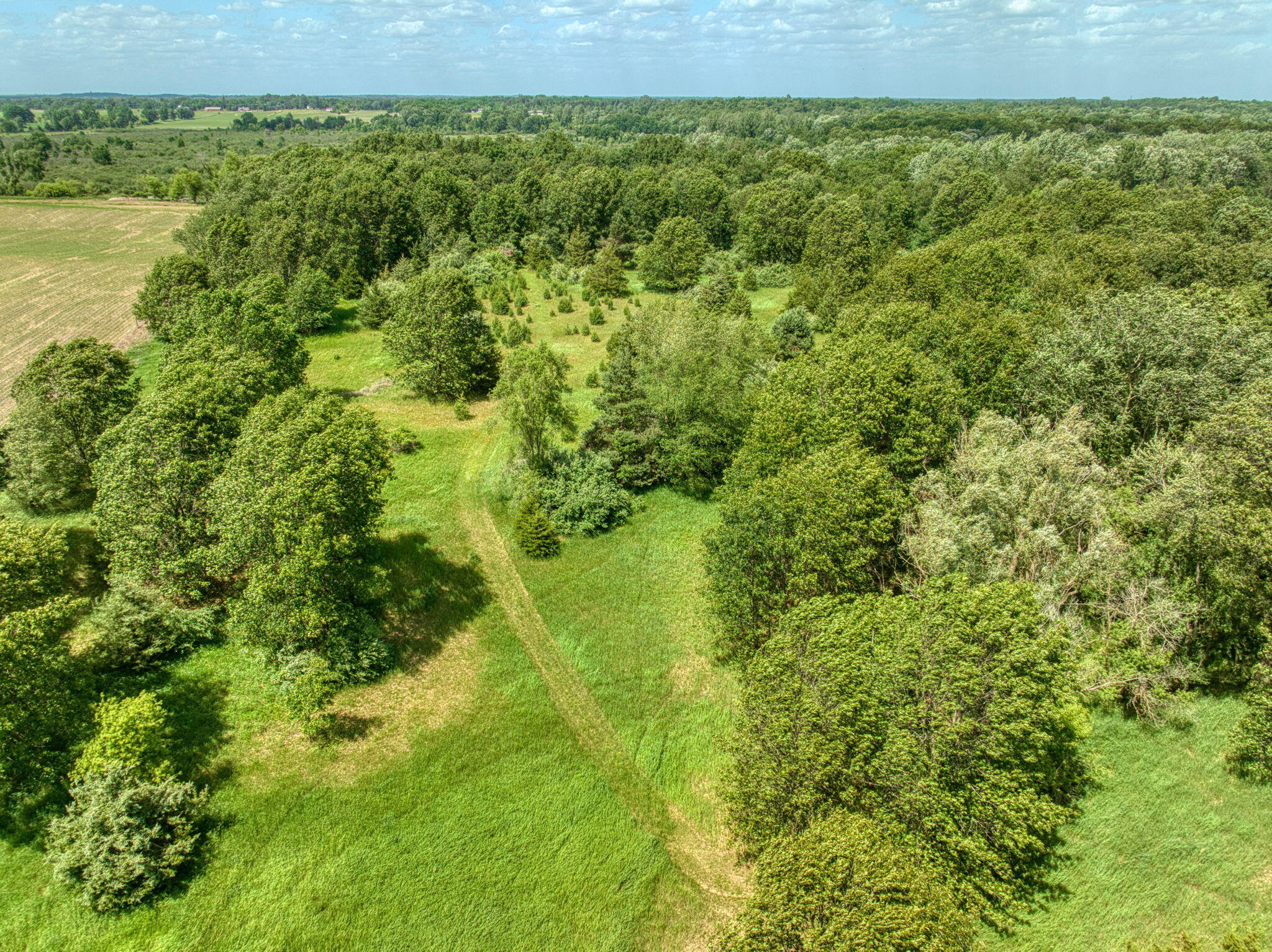 0 White Road Clarklake, MI 49234 - Photo 16 of 34 16-web-or-mls-DJI_0255_HDR