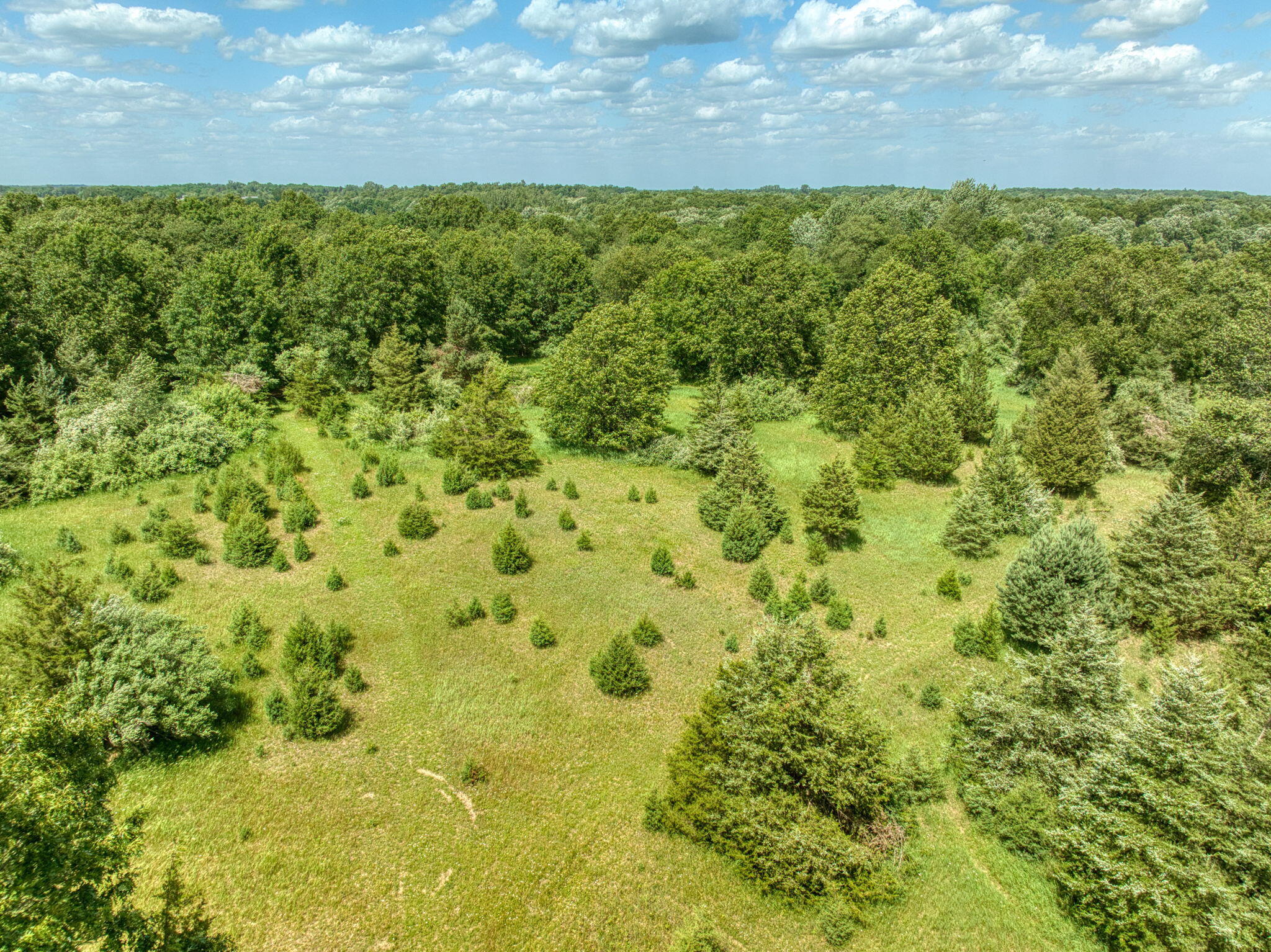 0 White Road Clarklake, MI 49234 - Photo 18 of 34 18-web-or-mls-DJI_0261_HDR