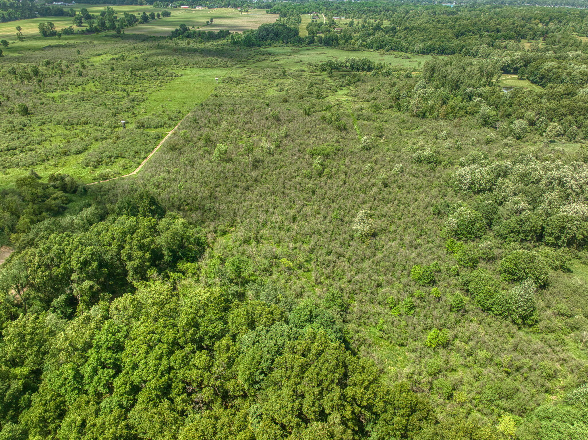 0 White Road Clarklake, MI 49234 - Photo 19 of 34 21-web-or-mls-DJI_0270_HDR