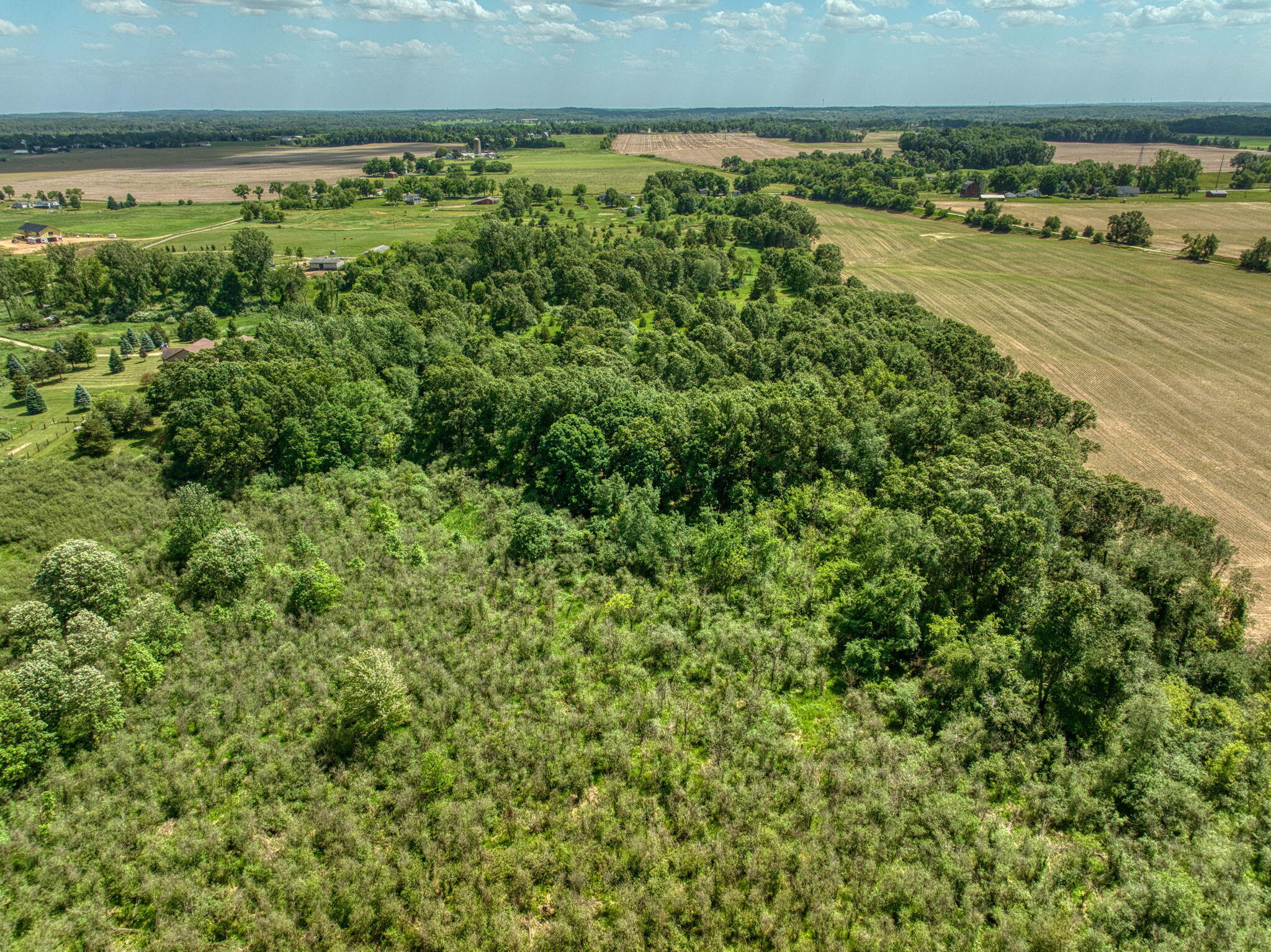 0 White Road Clarklake, MI 49234 - Photo 26 of 34 26-web-or-mls-DJI_0280_HDR