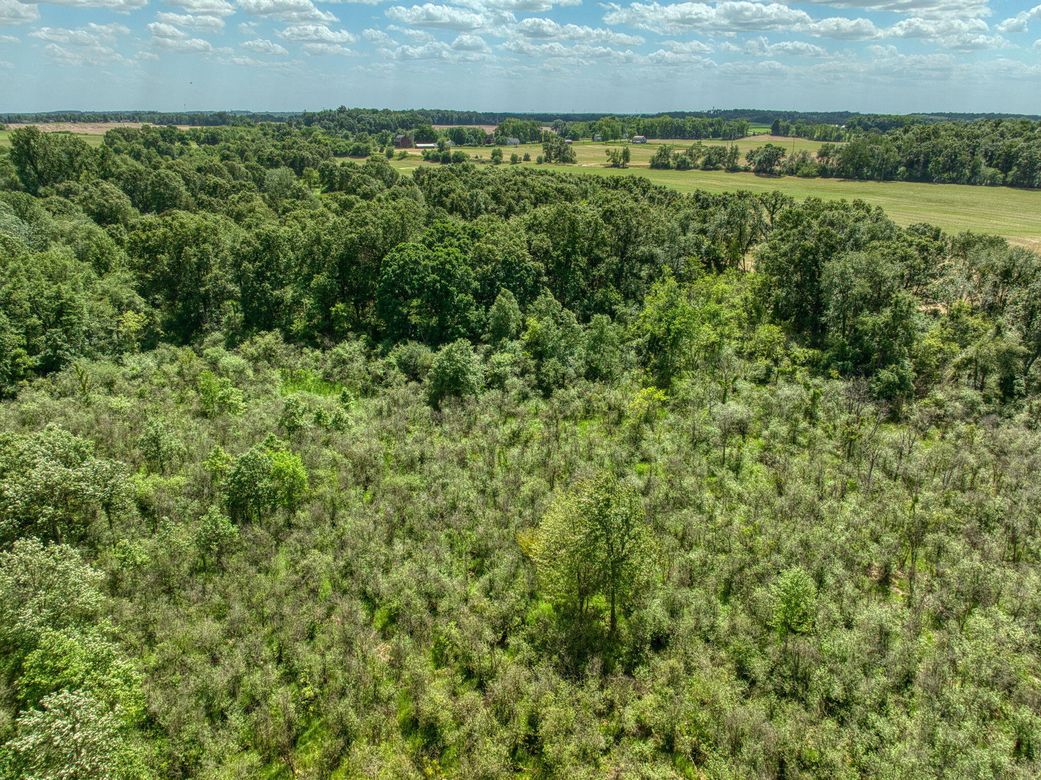 0 White Road Clarklake, MI 49234 - Photo 27 of 34 27-web-or-mls-DJI_0283_HDR