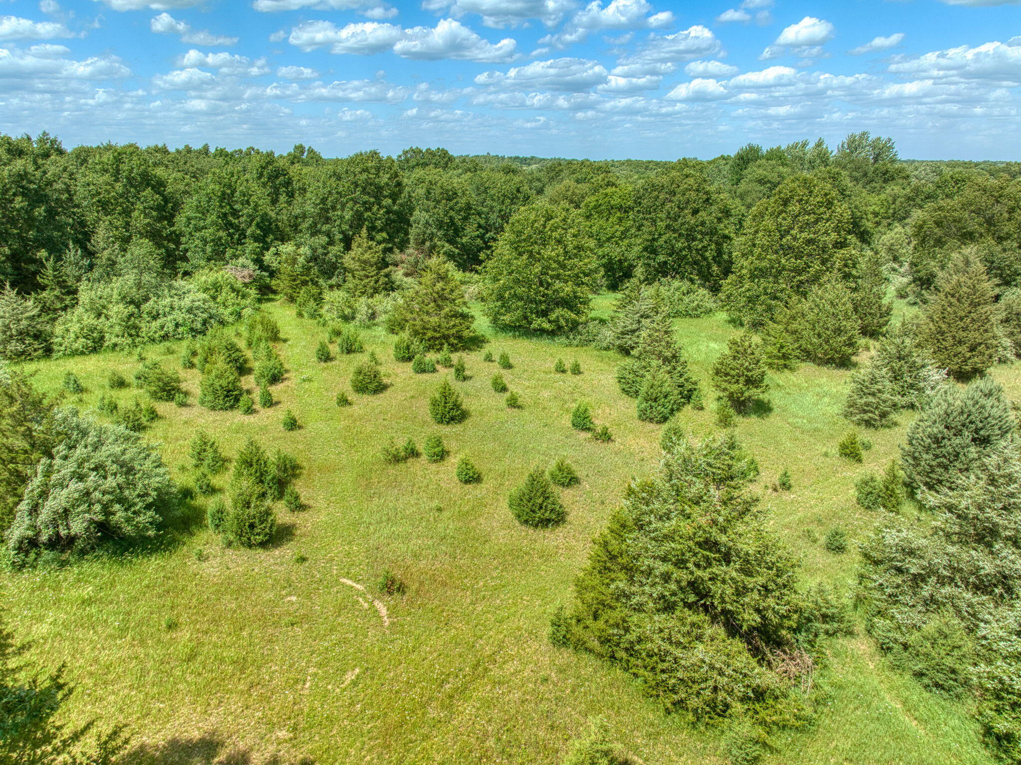 0 White Road Clarklake, MI 49234 - Photo 29 of 34 34-web-or-mls-DJI_0320_HDR