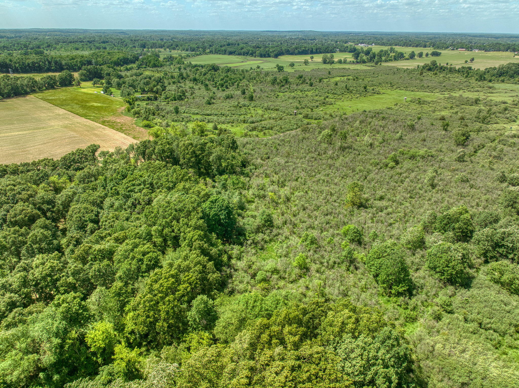 0 White Road Clarklake, MI 49234 - Photo 30 of 34 30-web-or-mls-DJI_0294_HDR