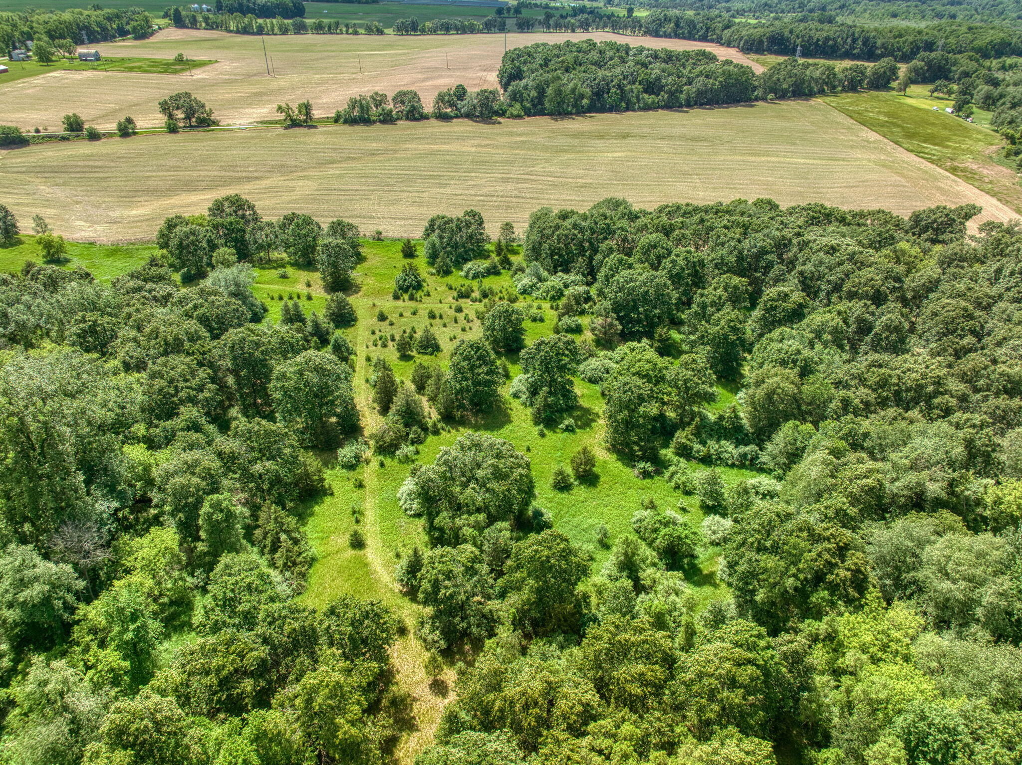 0 White Road Clarklake, MI 49234 - Photo 31 of 34 31-web-or-mls-DJI_0297_HDR
