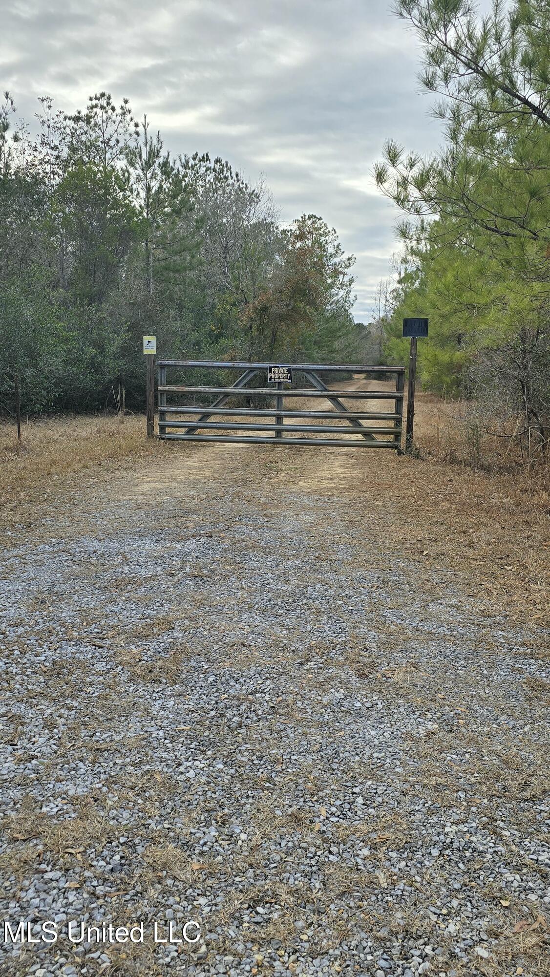0 Kit Maples Road Perkinston, MS 39573 - Photo 15 of 35 1000036374