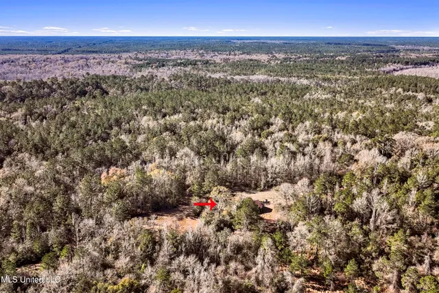 $84,000 | 0 Kit Maples Road, Perkinston, MS 39573