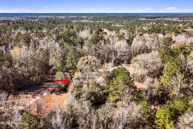 $84,000 | 0 Kit Maples Road, Perkinston, MS 39573