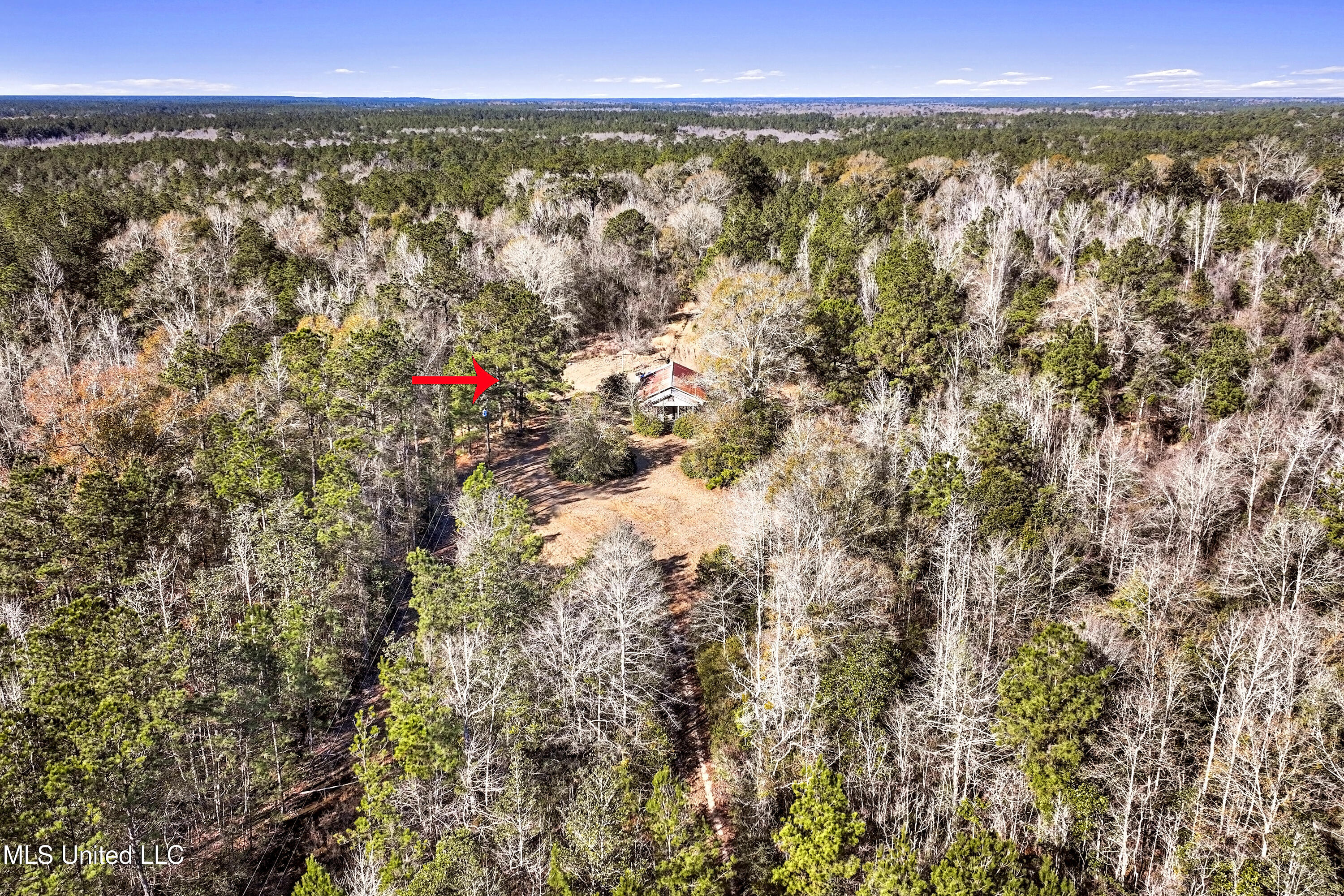 0 Kit Maples Road Perkinston, MS 39573 - Photo 29 of 35 Kit Maples 1 ac
