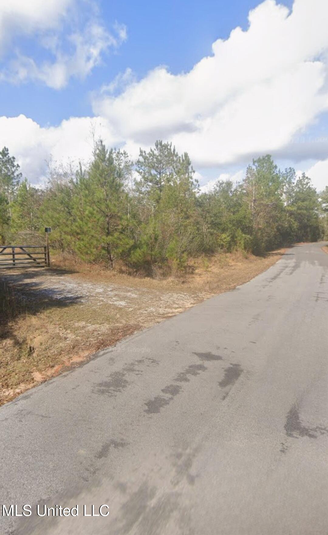 0 Kit Maples Road Perkinston, MS 39573 - Photo 3 of 35 Kit Maples Rd