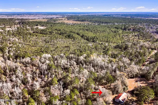 $84,000 | 0 Kit Maples Road, Perkinston, MS 39573