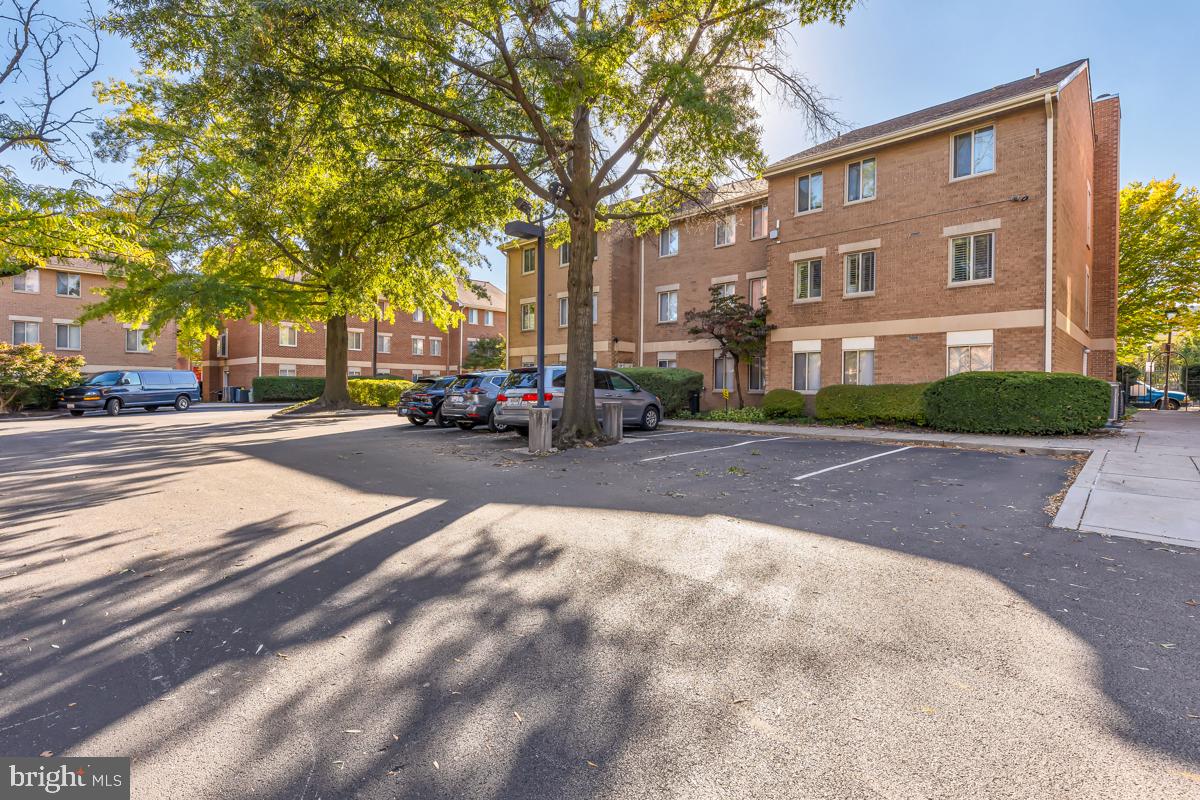 403 South Sharp Street, Unit R 2 Baltimore, MD 21201 - Photo 13 of 15 a row of palm trees in front of a building