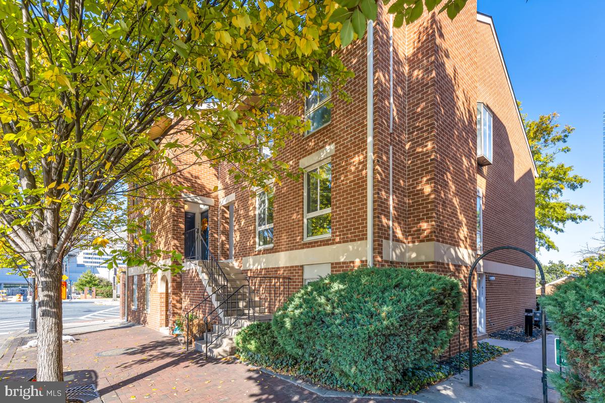 403 South Sharp Street, Unit R 2 Baltimore, MD 21201 - Photo 15 of 15 front view of a house with a tree