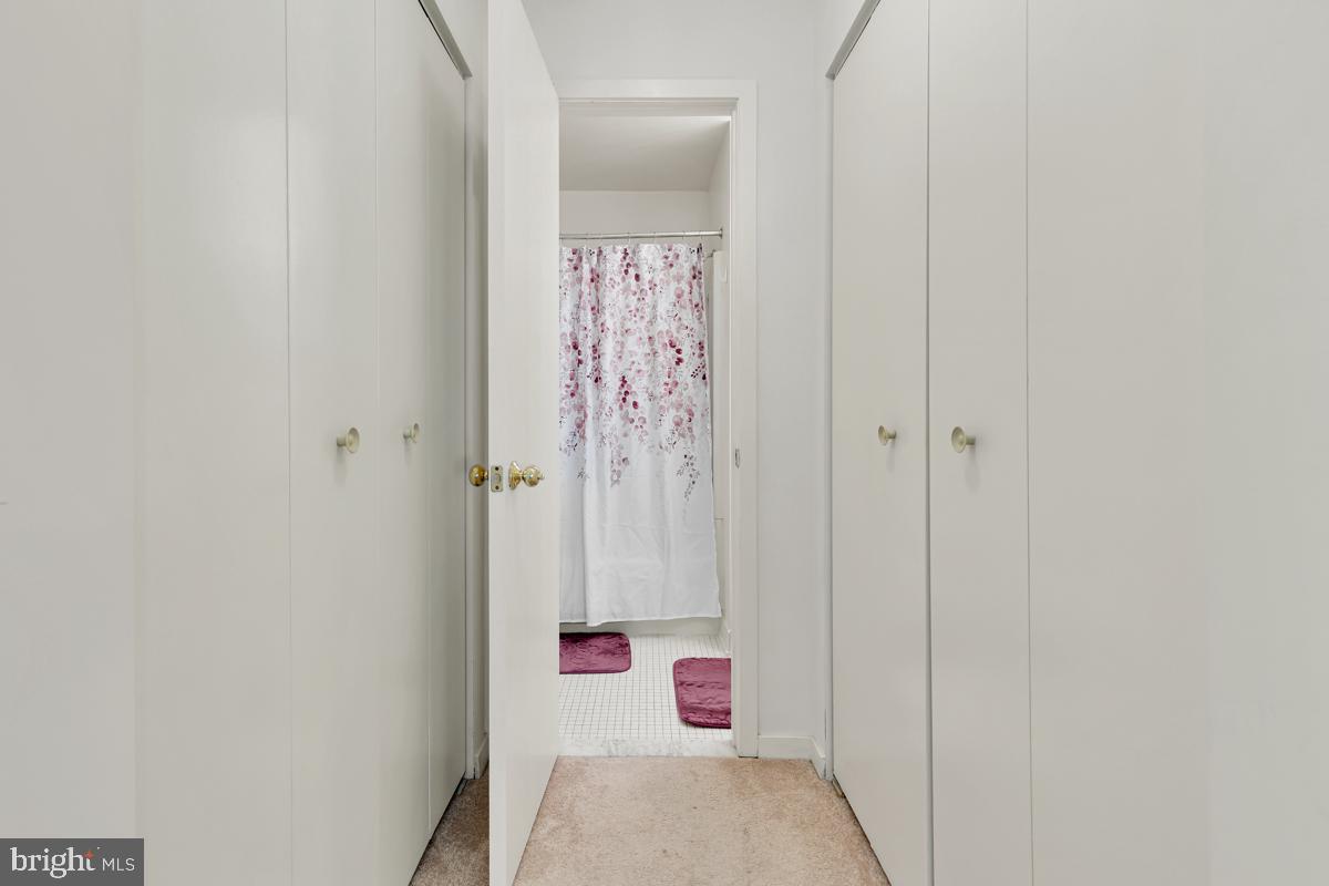 403 South Sharp Street, Unit R 2 Baltimore, MD 21201 - Photo 6 of 15 a bathroom with a shower