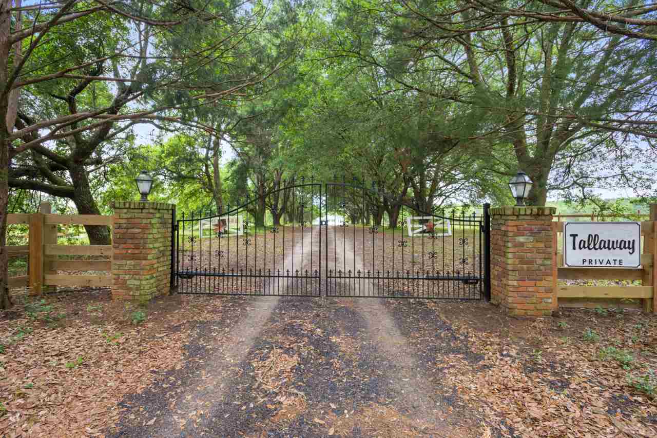 3496 Highbridge Road Quincy, FL 32351 - Photo 8 of 34 Gallery Image 8