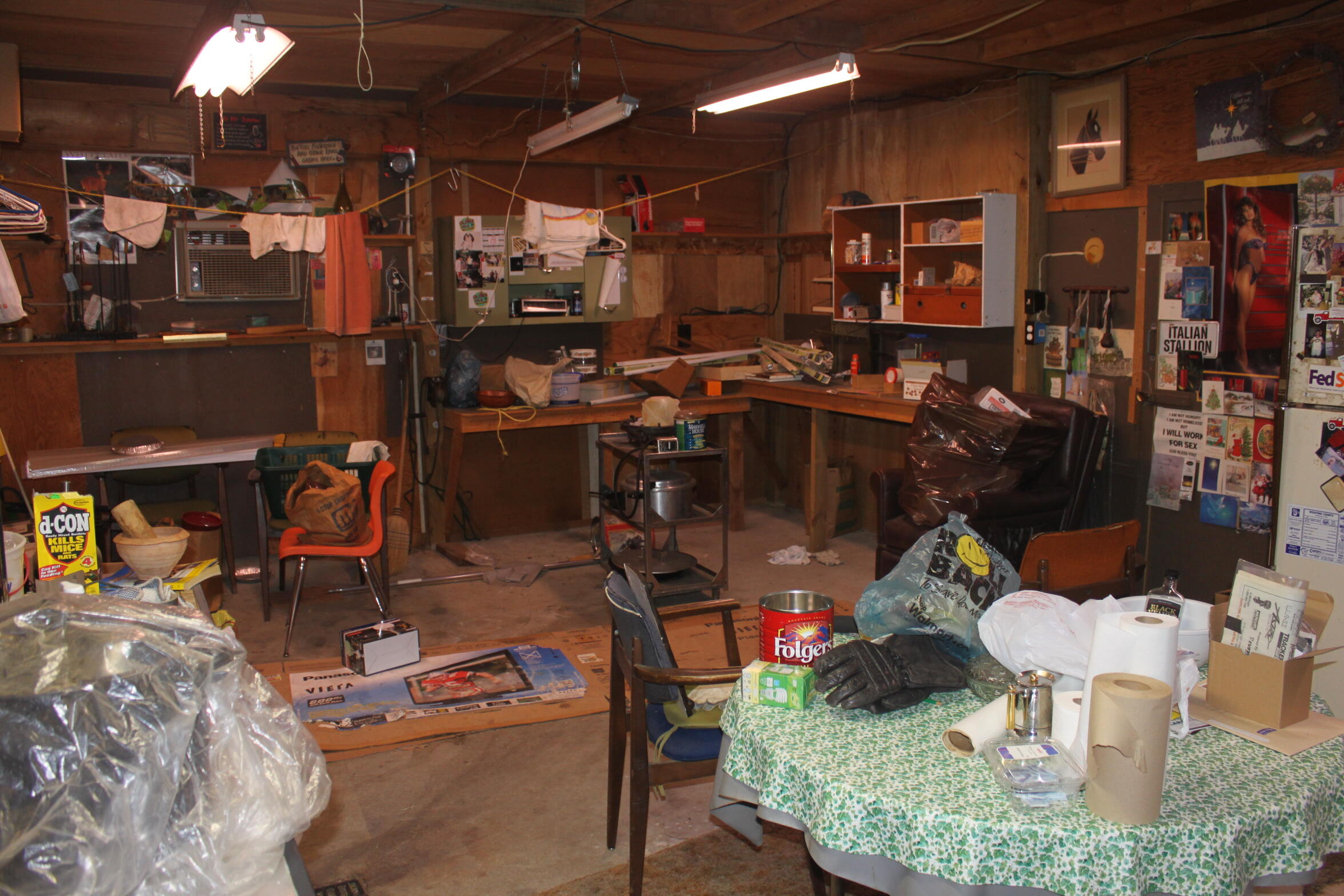 11881 North Brooks Road Irons, MI 49644 - Photo 54 of 61 IMG_0408