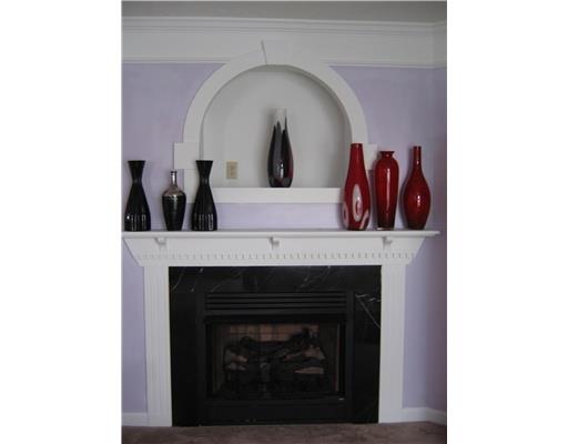 1047 Rural Ridge Drive Cheswick, PA 15024 - Photo 7 of 9 Other. This is family room fireplace. There is one in the game room also.