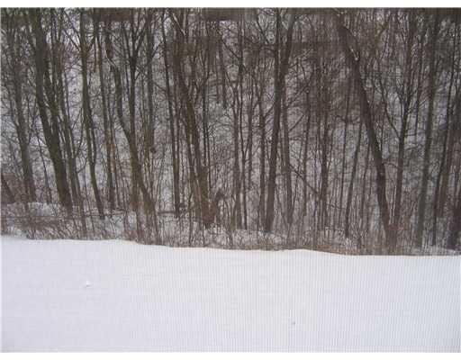 1047 Rural Ridge Drive Cheswick, PA 15024 - Photo 9 of 9 Yard/Garden. As view from window. Cleared area of back yard is flat and then slopes into wooded valley which provides privacy. If you want to build a deck, there s already a door off the kitchen