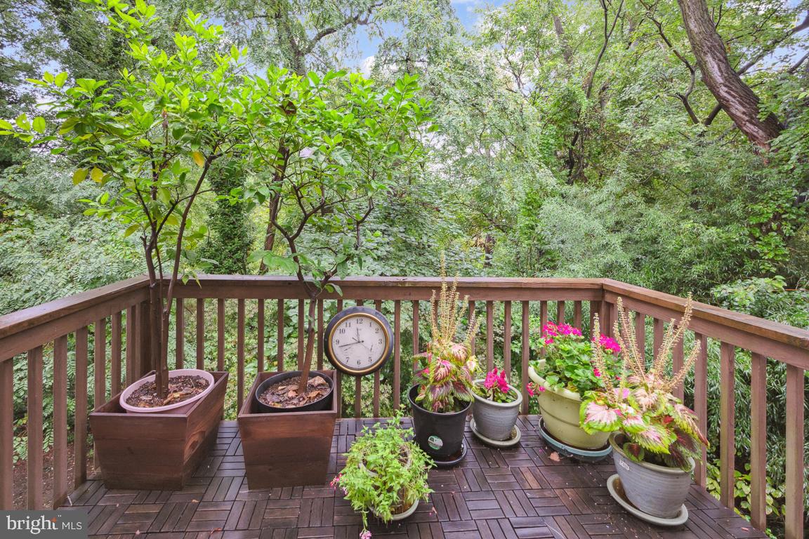 7706 Juniper Lane Palmyra, NJ 08065 - Photo 23 of 24 Private Balcony Patio off Kitchen Tree House Views