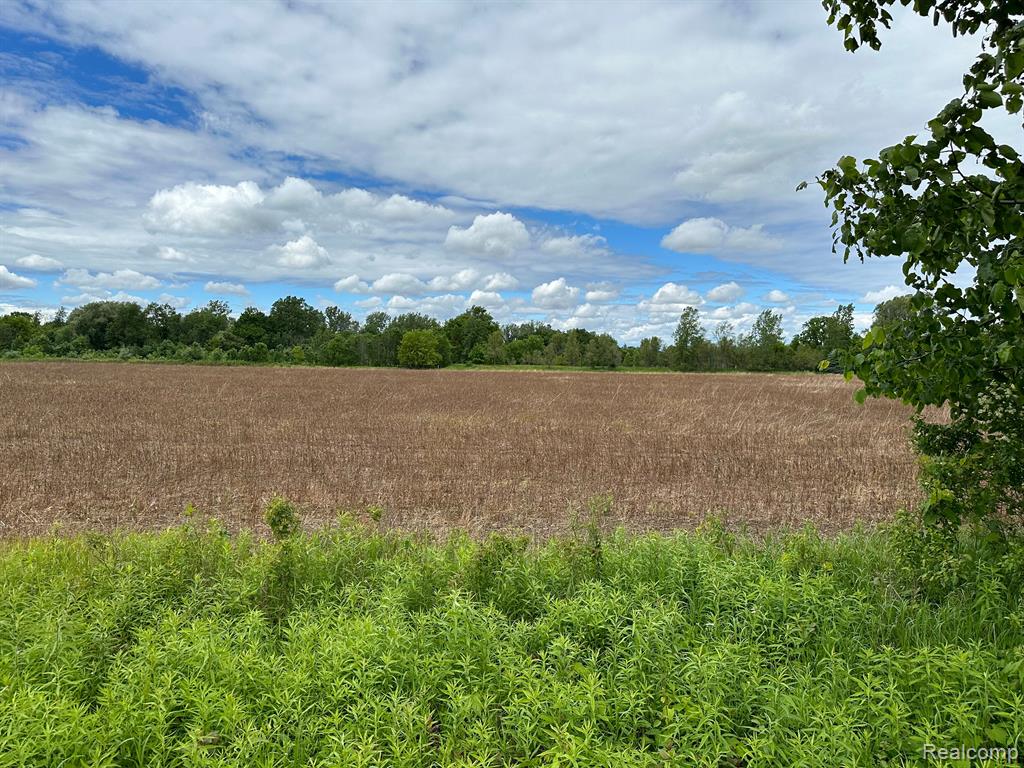 0 Tubspring Road Almont, MI 48003 - Photo 1 of 2
