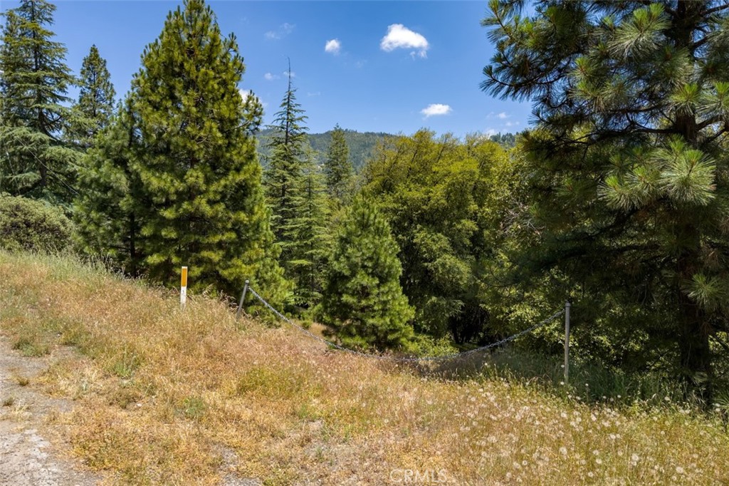 2397 Parmabelle Road Mariposa, CA 95338 - Photo 6 of 34 a view of a yard with a tree