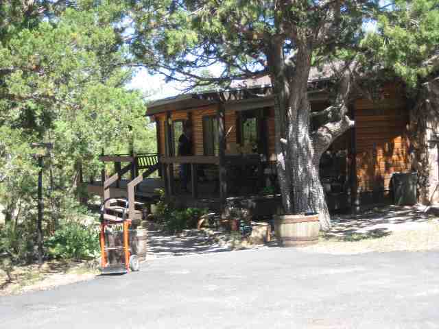 2039 Lone Mountain Road Overgaard, AZ 85933 - Photo 5 of 5 a view of road and trees