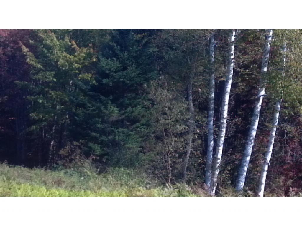 0 Sunrise Acres Road Lunenburg, VT 05906 - Photo 2 of 5