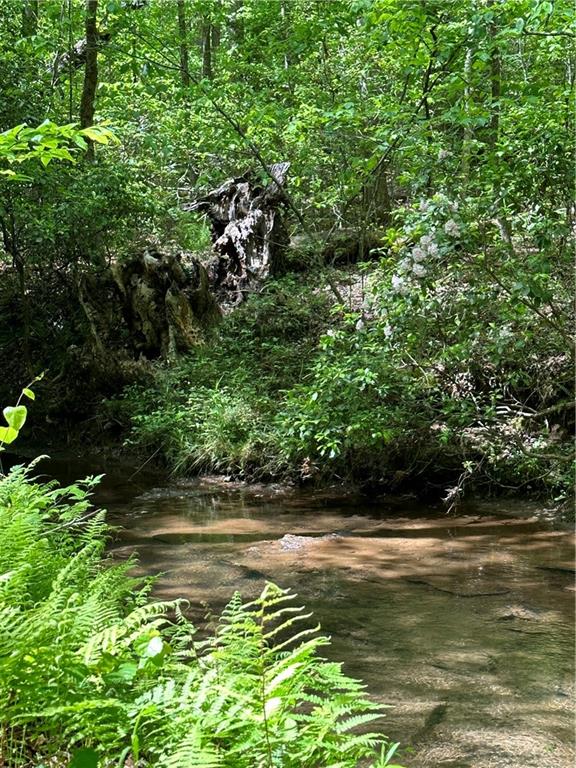 0 Windy Ridge Lane Canton, GA 30114 - Photo 1 of 1 a view of lake view