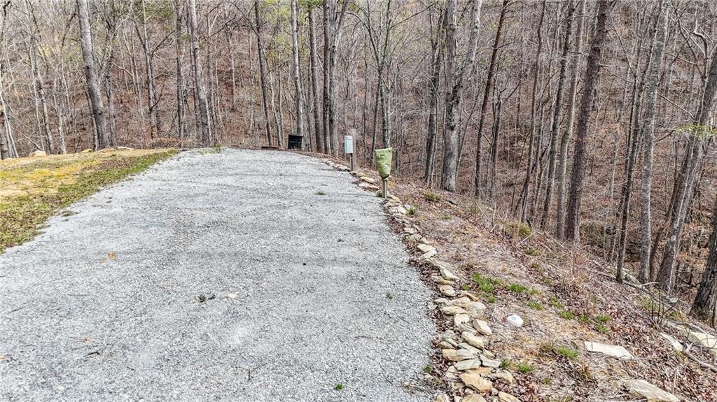 0 Felton Rockmart Road Buchanan, GA 30113 - Photo 11 of 47