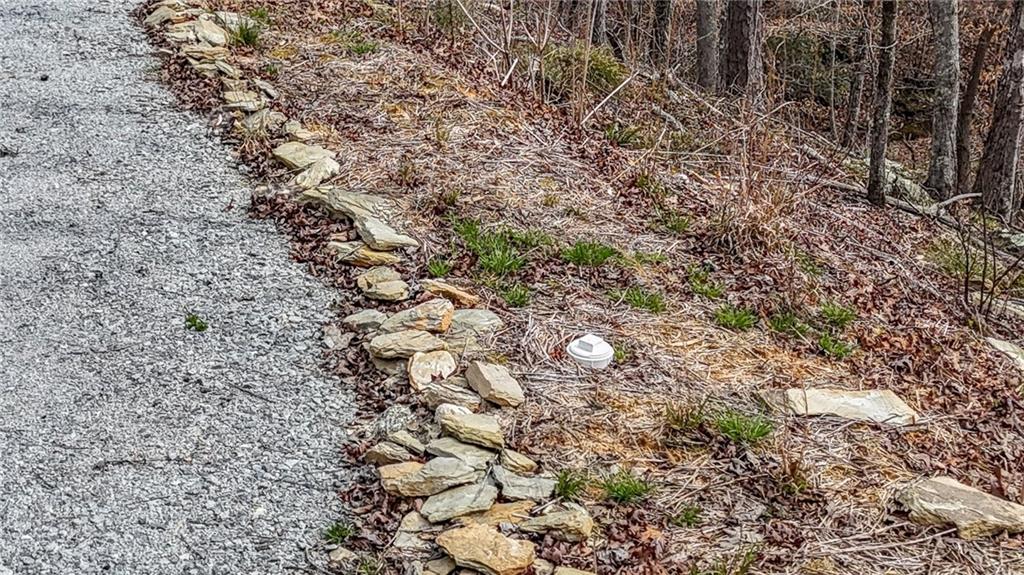 0 Felton Rockmart Road Buchanan, GA 30113 - Photo 13 of 47