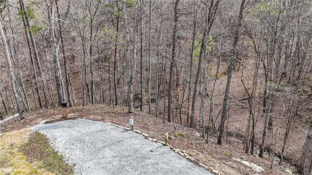 0 Felton Rockmart Road Buchanan, GA 30113 - Photo 14 of 47