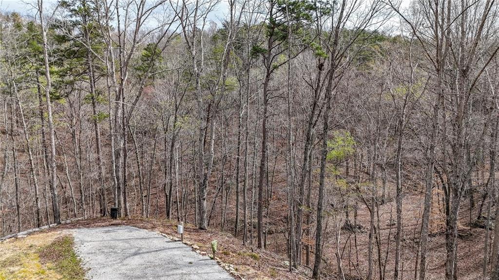 0 Felton Rockmart Road Buchanan, GA 30113 - Photo 15 of 47