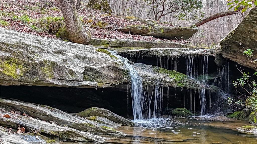 0 Felton Rockmart Road Buchanan, GA 30113 - Photo 2 of 47