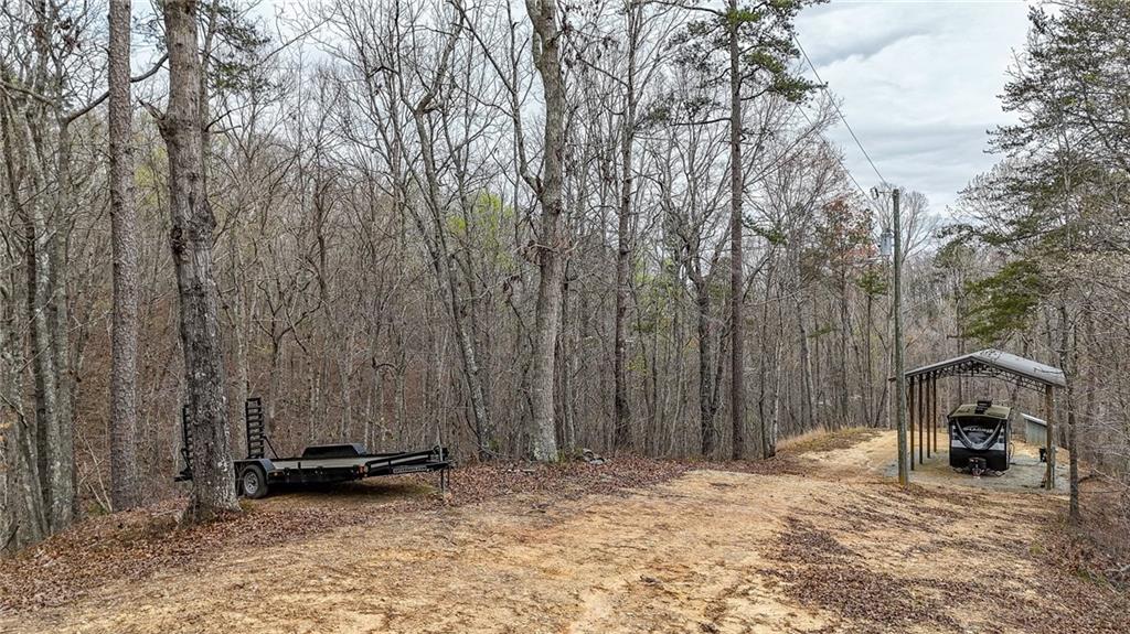 0 Felton Rockmart Road Buchanan, GA 30113 - Photo 22 of 47