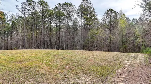 $1,200,000 | 0 Felton Rockmart Road, Buchanan, GA 30113