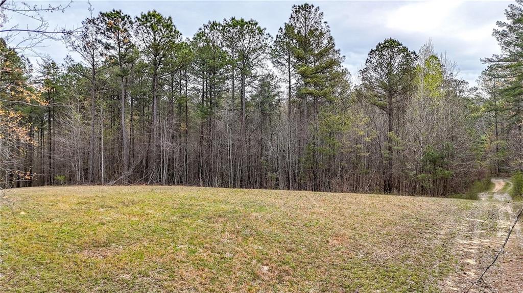 0 Felton Rockmart Road Buchanan, GA 30113 - Photo 25 of 47