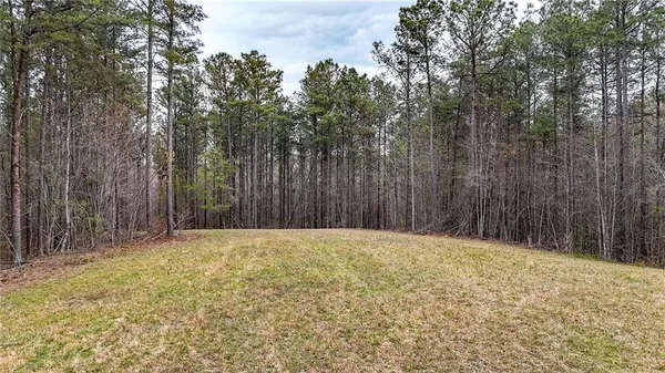 $1,200,000 | 0 Felton Rockmart Road, Buchanan, GA 30113