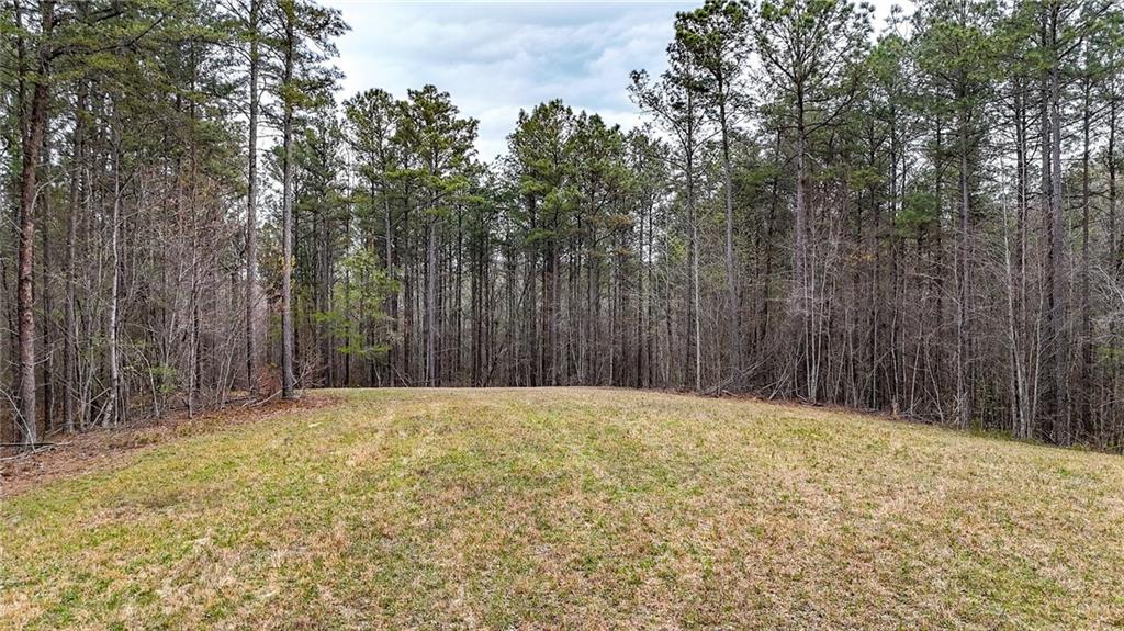 0 Felton Rockmart Road Buchanan, GA 30113 - Photo 26 of 47