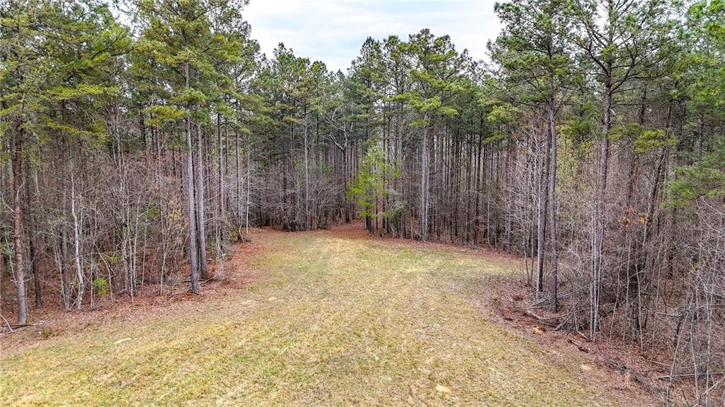 0 Felton Rockmart Road Buchanan, GA 30113 - Photo 27 of 47