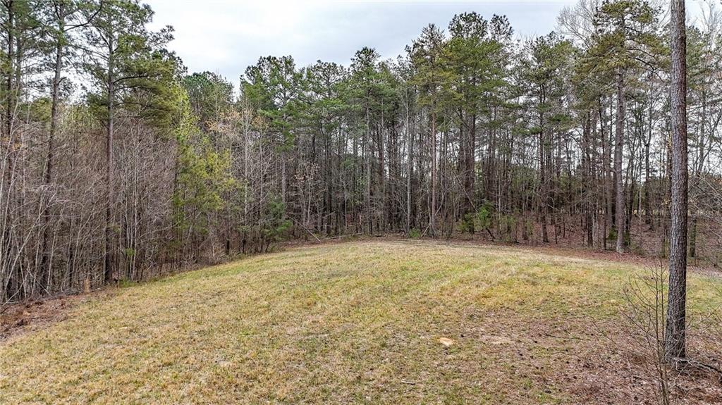 0 Felton Rockmart Road Buchanan, GA 30113 - Photo 28 of 47