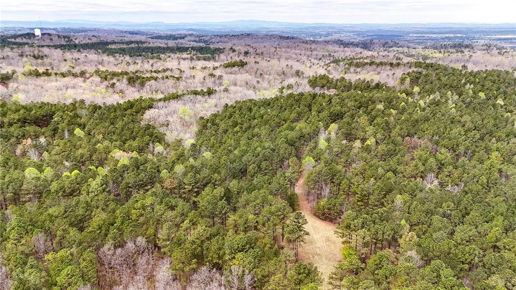 0 Felton Rockmart Road Buchanan, GA 30113 - Photo 30 of 47